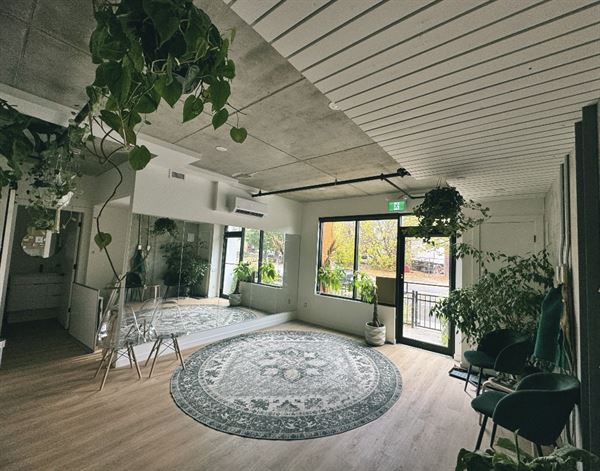 Komorebi Cafe and Healing Art Studio