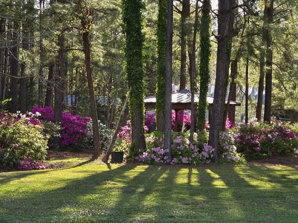 The White House on Freedom Way
