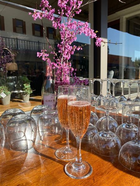 Mantra Tea House at the Union Building