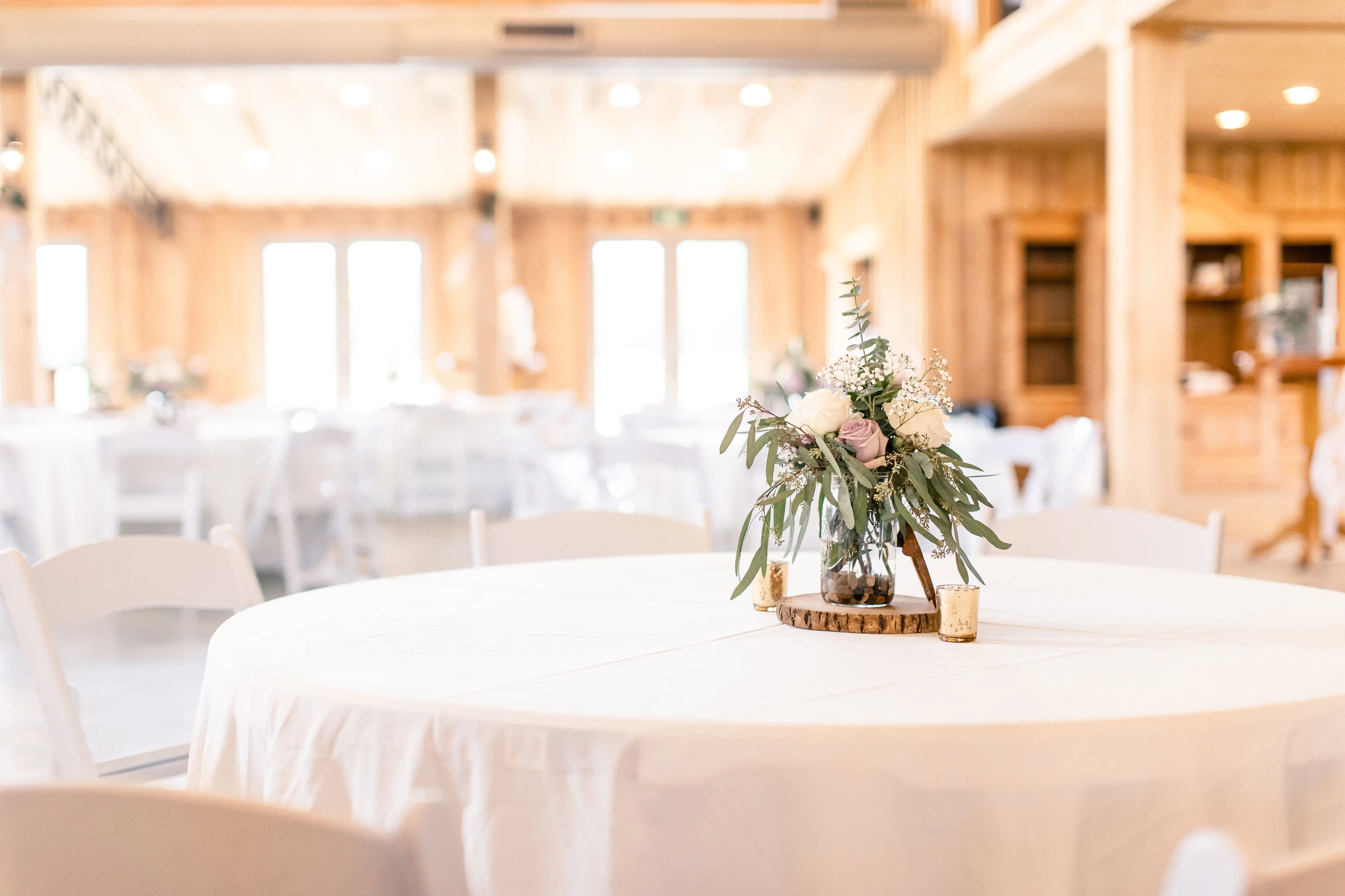 Cypress Hill on Wire Road