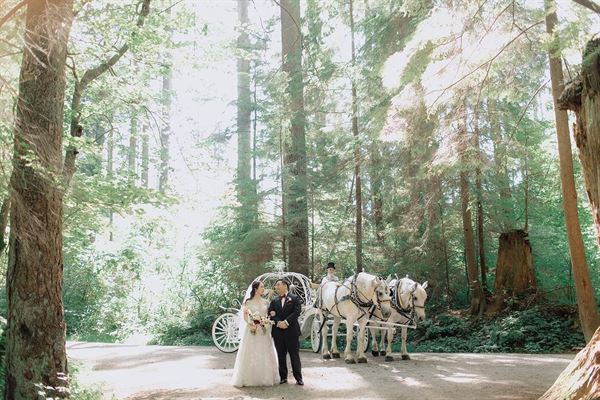 Stanley Park Pavilion