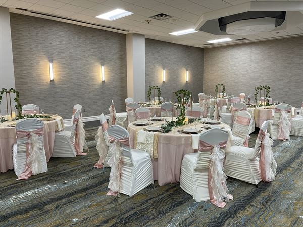 Holiday Inn Binghamton-Dwtn (Hawley St)