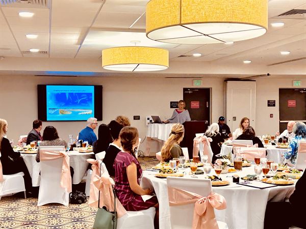 Holiday Inn Gainesville-University Ctr