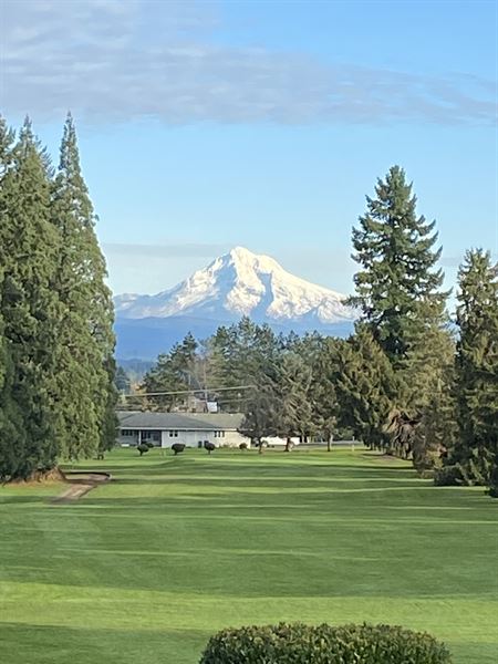 Mountain View Restaurant and Lounge