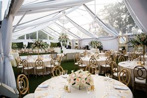 Historic Mansion & Swan Lawn