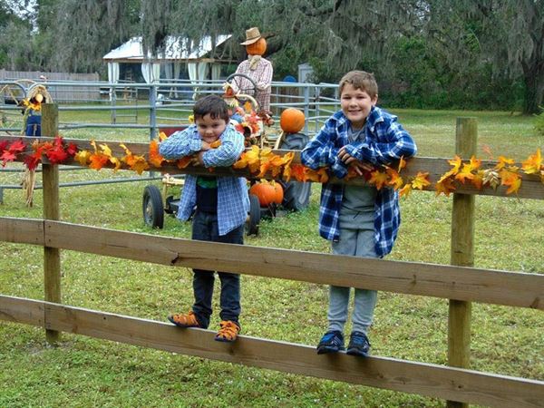 Serenity Horse Stables