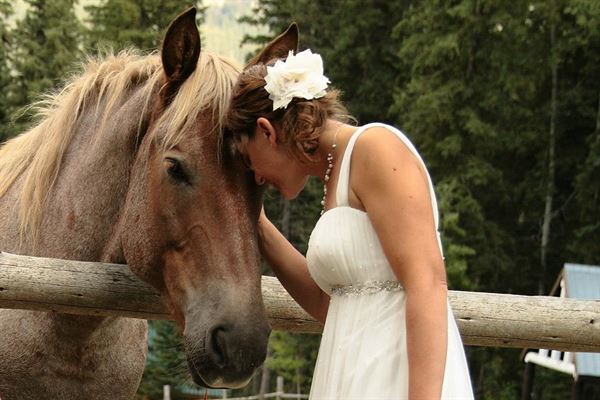 Hotel & Resort Beaverfoot Lodge