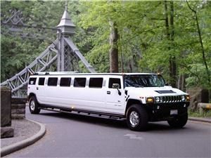 Elite Limousines and Jet Charters
