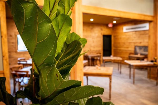 Wander at LongWoods Preserve