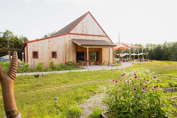 Wander at LongWoods Preserve