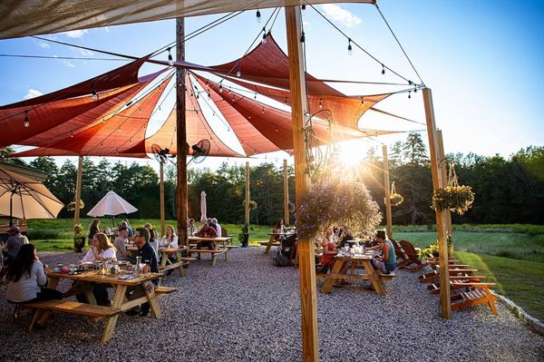 Wander at LongWoods Preserve