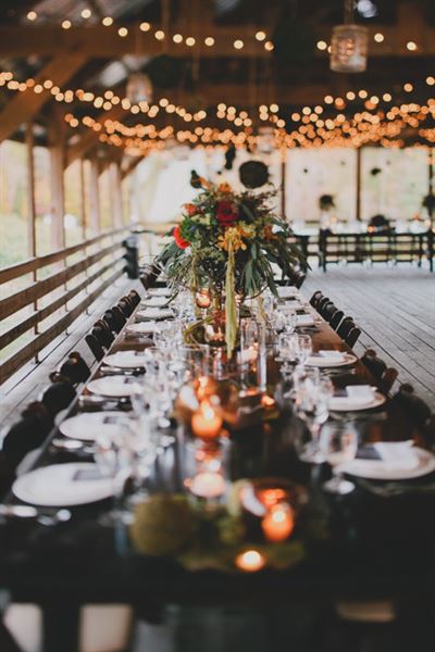 Elkin Creek Vineyard