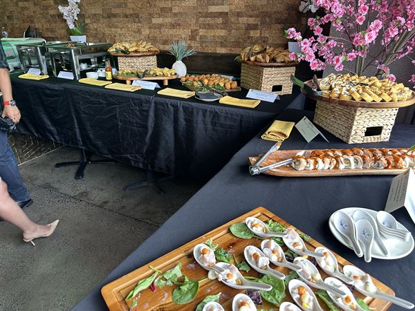 Inca Social - Vienna