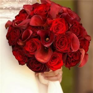 Parris Petals, your favorite florist