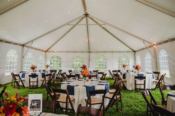 Elkin Creek Vineyard