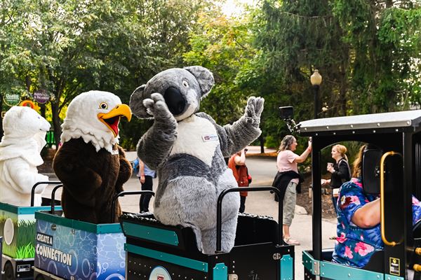 Creative Soul Studios