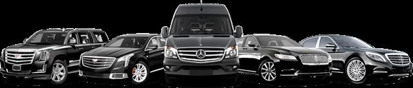 Denver Luxury Limousine, Inc.