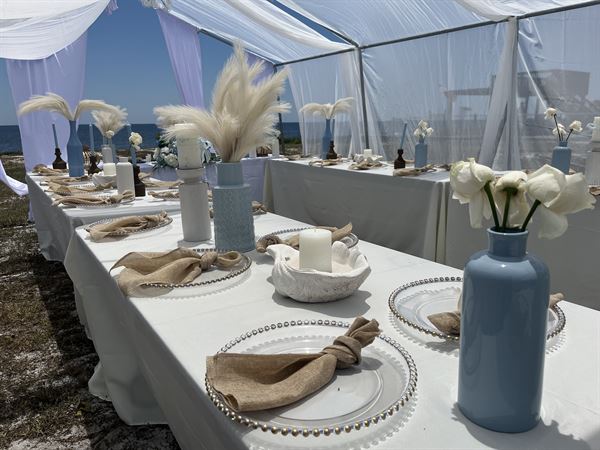 Uraina's Haven: Planning & Design