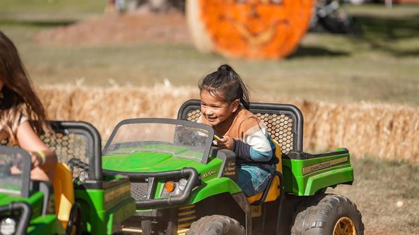 Skitts Mountain Farms