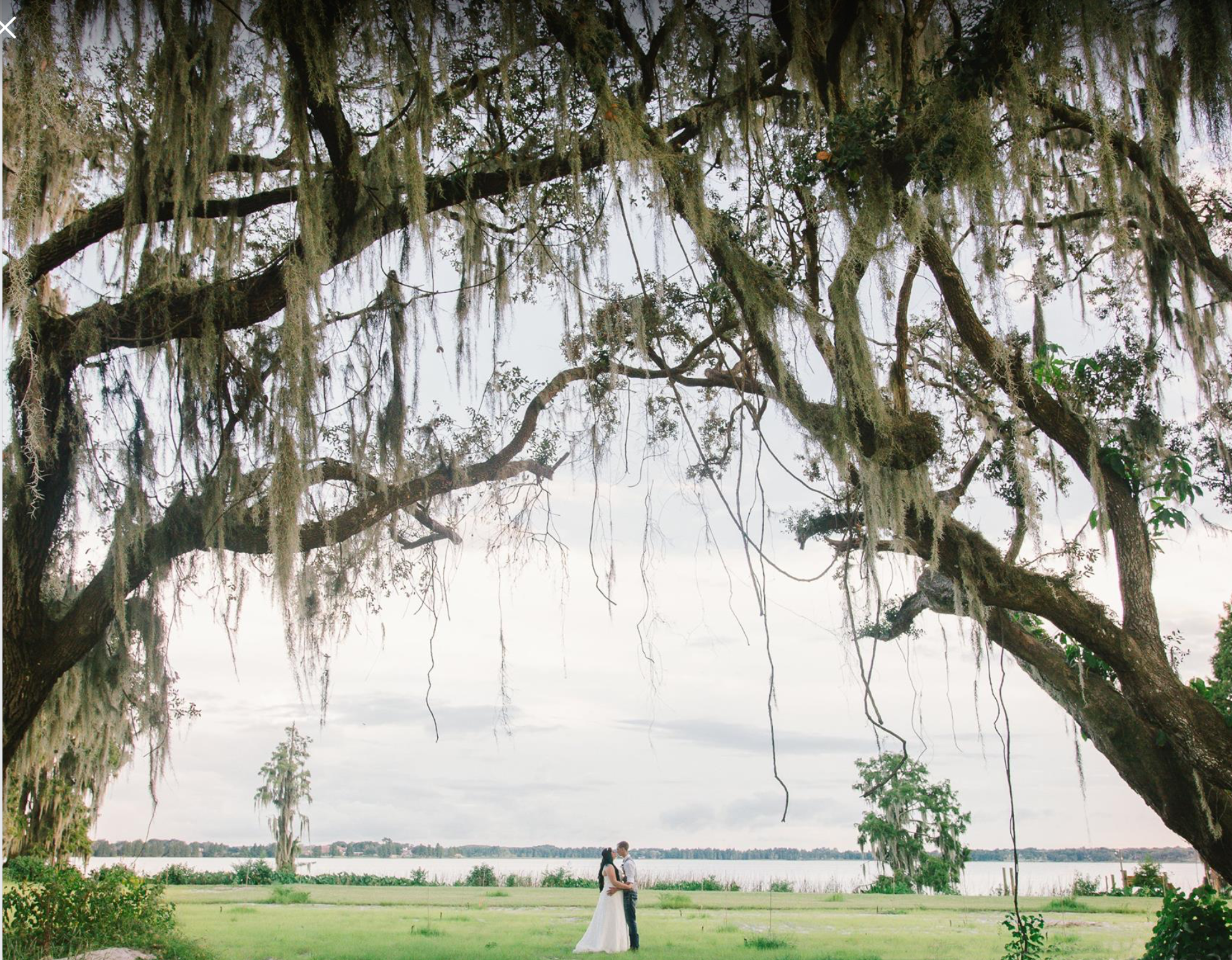 The Lemon Orchard Venue on The Lake