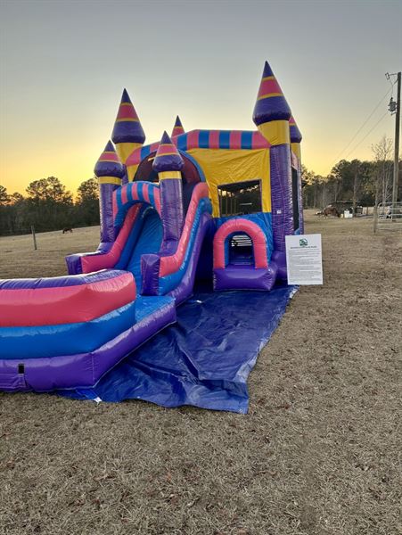 Lake City Inflatables