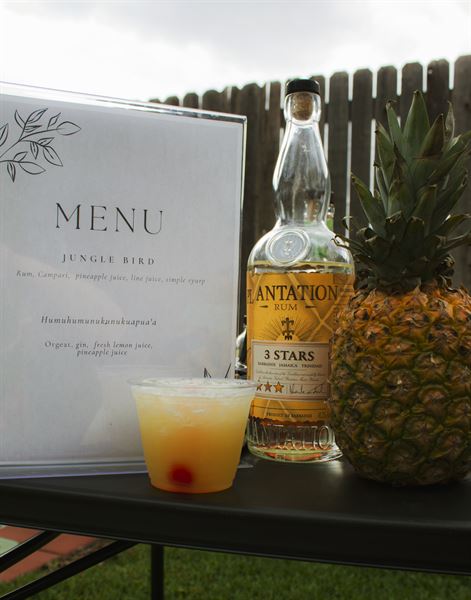 Drinks Made Easy LLC