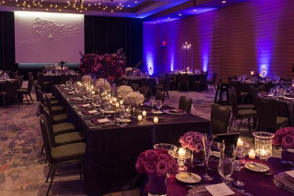 The Lofton Hotel Tapestry Collection by Hilton