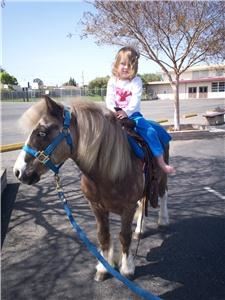 Once Upon A Pony Rides & Petting Zoo