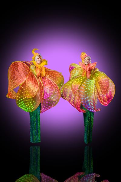 Wildfire Arts Collective