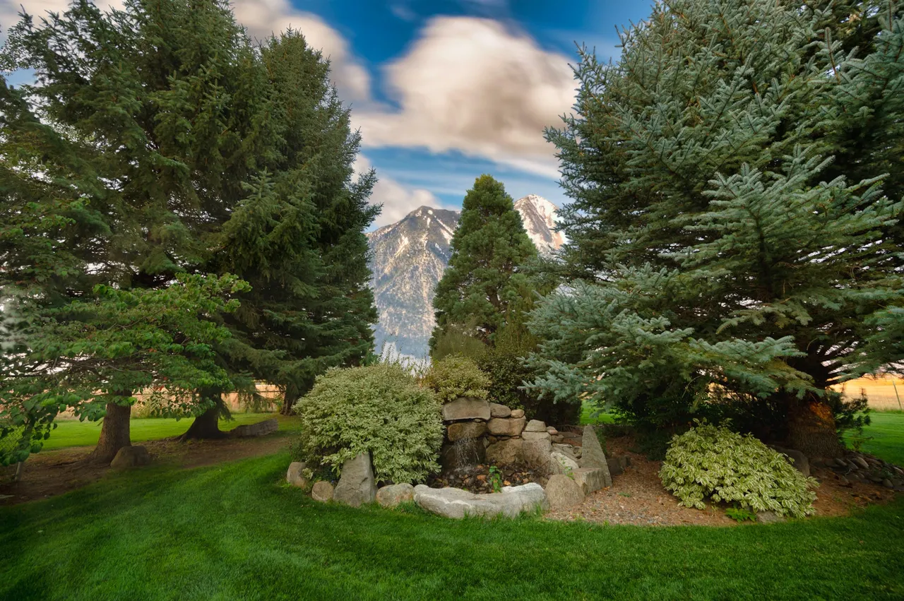 Twisting T-Bar Ranch, LLC