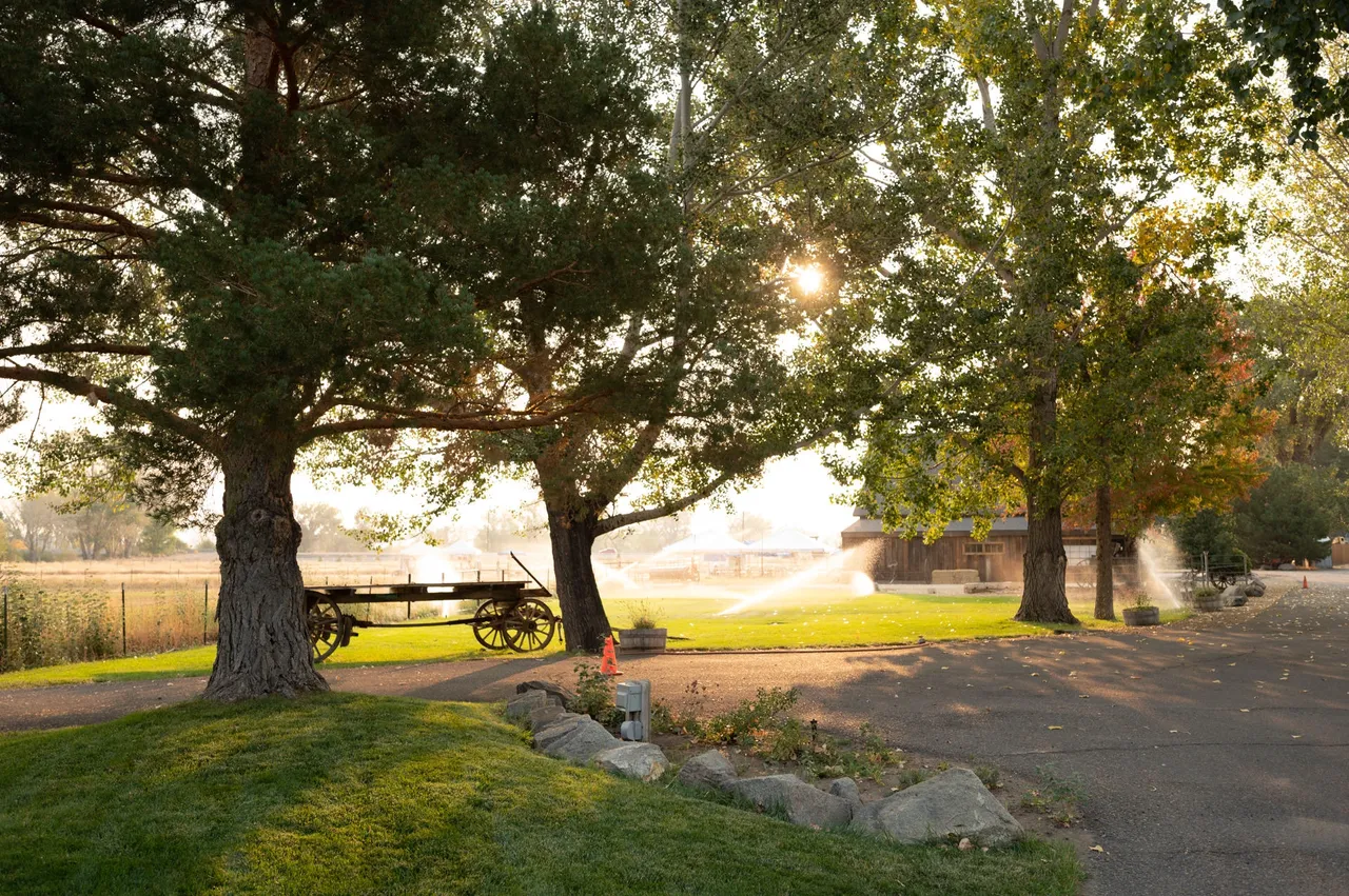 Twisting T-Bar Ranch, LLC