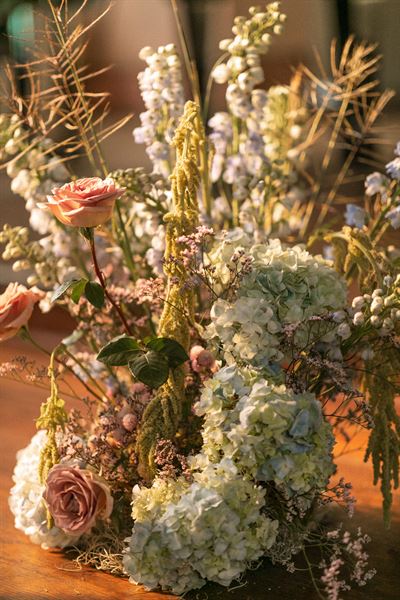 Barking Hound Productions