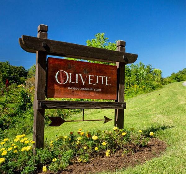 Olivette