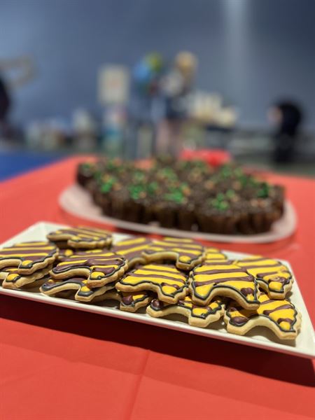 Freestyle Martial Arts Academy