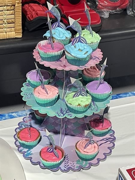 Freestyle Martial Arts Academy