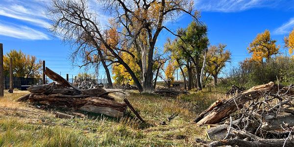 American Paintball Coliseum