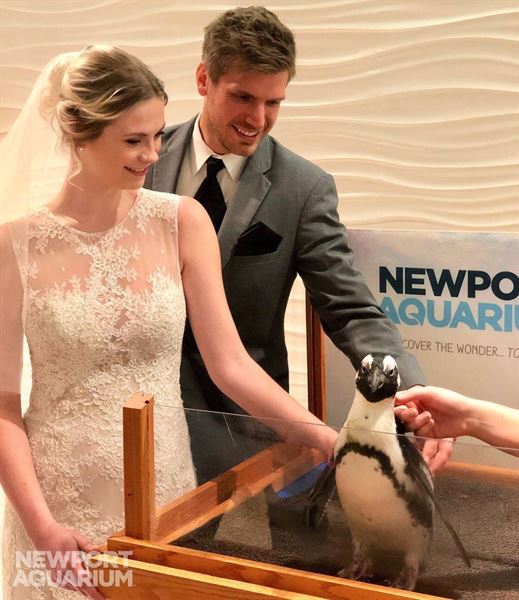Newport Aquarium