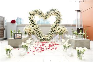 Above Ash -  Vitale Terrace