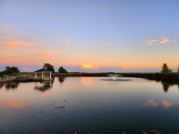 Mackinaw Valley Vineyard