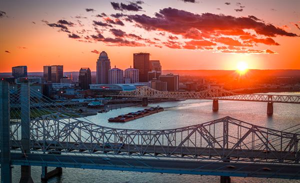 Shaun Wilson Designs