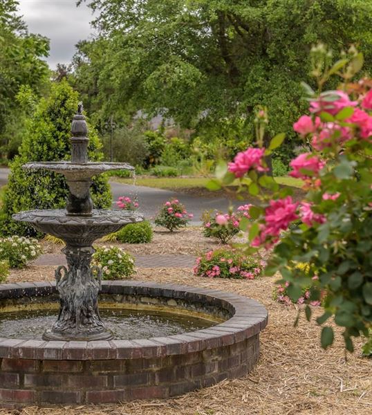 Coastal Georgia Botanical Gardens