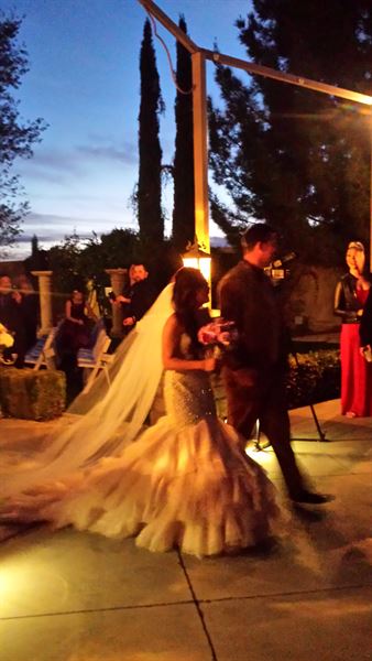 Mead Mobile Bartending