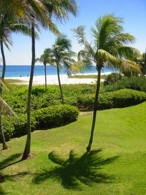 Sea Watch Restaurant