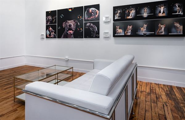 The Loft at Cusic Photography