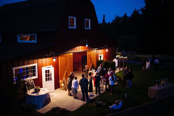 Dancing Fish Vineyards