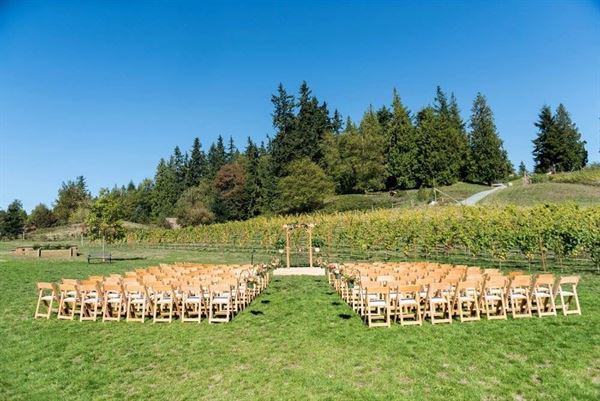 Dancing Fish Vineyards