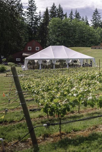 Dancing Fish Vineyards