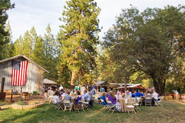 Brice Station Vineyards