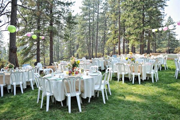 Brice Station Vineyards