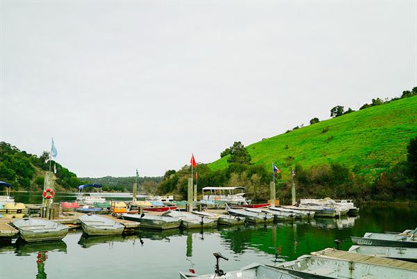 Lake Chabot Marina